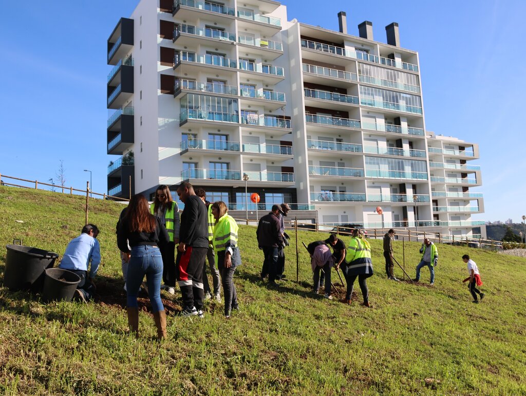 Plantação de árvores na Ramada e Póvoa de Santo Adrião
