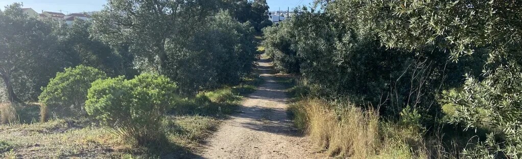 Pequena Rota Circular de Odivelas