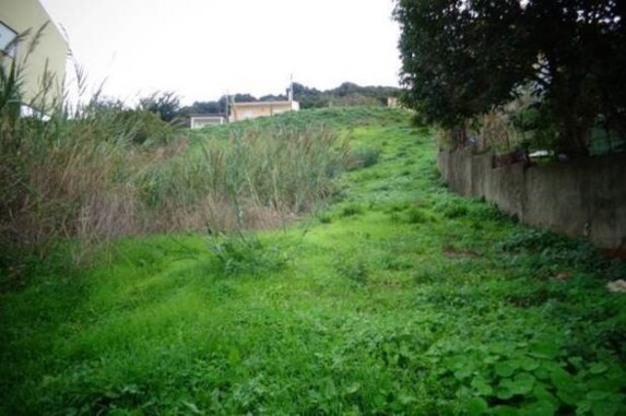 ruadasfloresecomercio_2